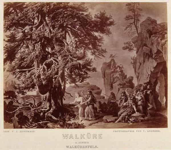 Hoffmann, Walküre